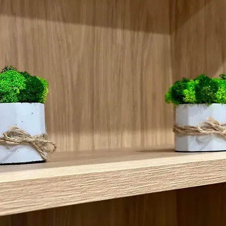 Osapart Romantic In The Complex Great Britain إلفيف