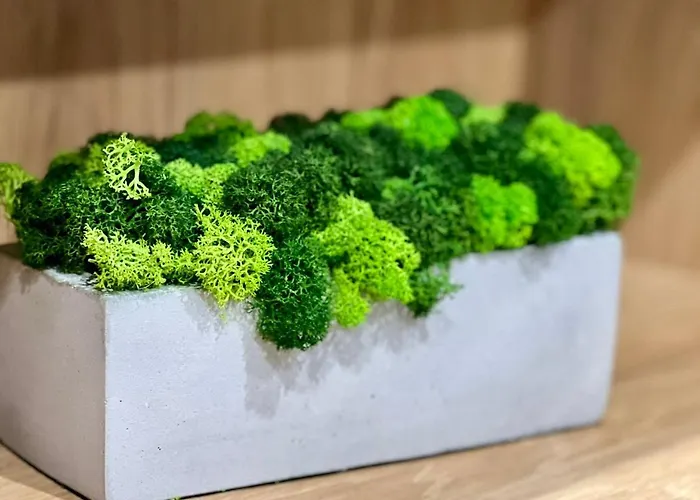 Osapart Romantic In The Complex Great Britain