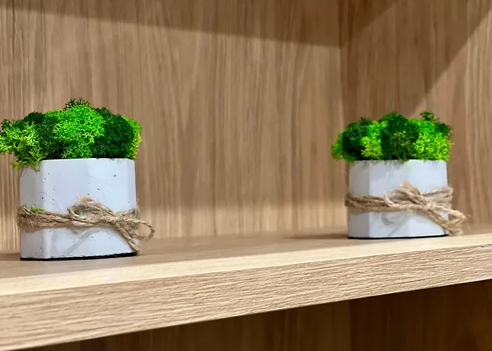 Osapart Romantic In The Complex Great Britain לבוב