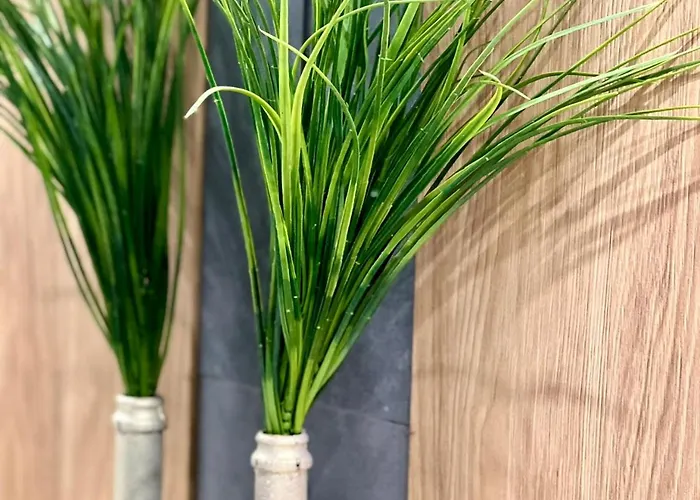 Osapart Romantic In The Complex Great Britain Lviv