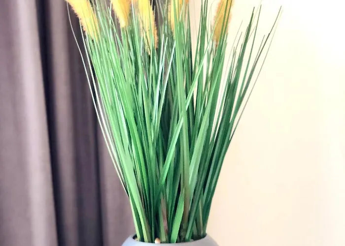 Apartman Osapart Romantic In The Complex Great Britain *