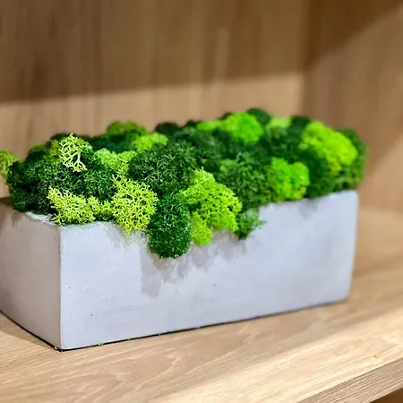 Osapart Romantic In The Complex Great Britain