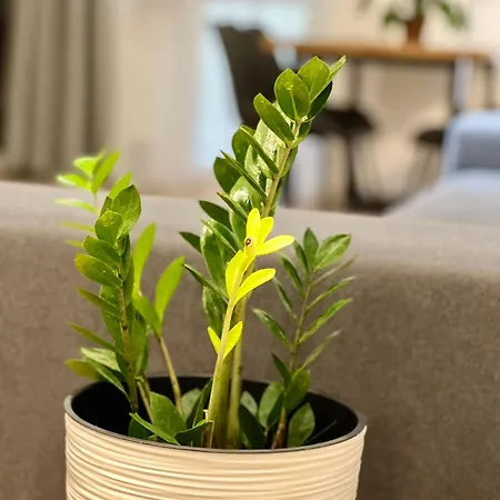 Apartmán Osapart Romantic In The Complex Great Britain *